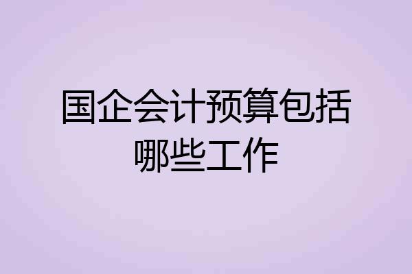 国企会计预算包括哪些工作
