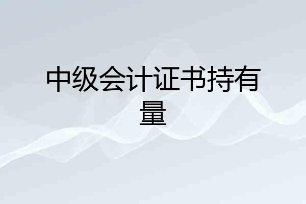 中级会计证书持有量