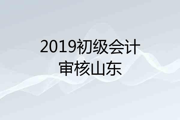 2019初级会计审核山东