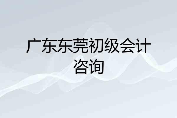 广东东莞初级会计咨询