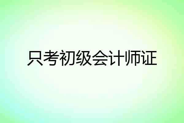 只考初级会计师证