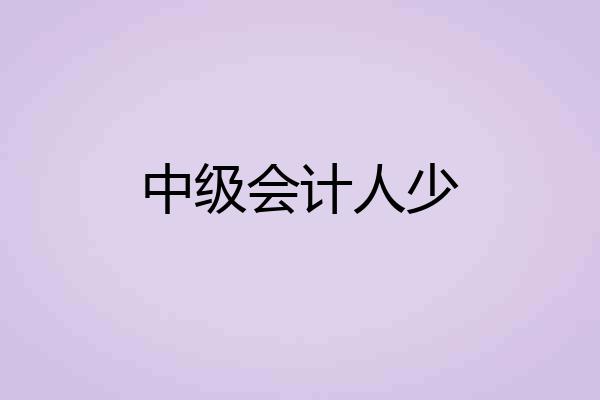 中级会计人少