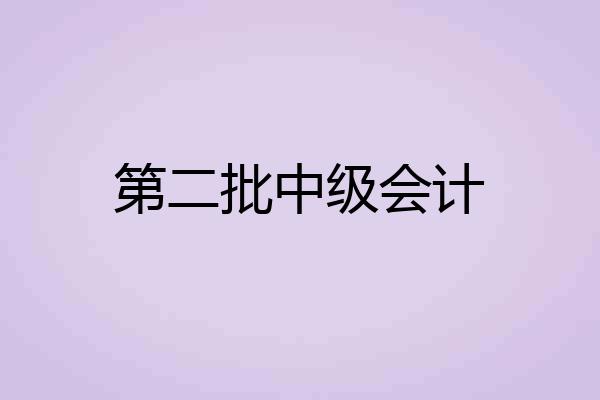 第二批中级会计