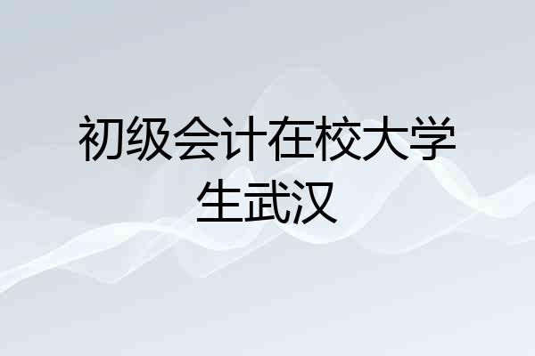 初级会计在校大学生武汉