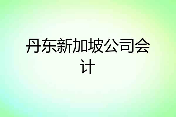 丹东新加坡公司会计