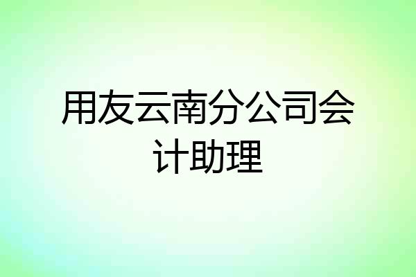 用友云南分公司会计助理