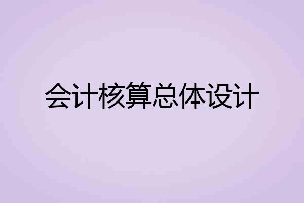 会计核算总体设计