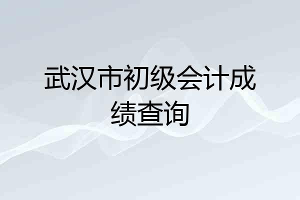 武汉市初级会计成绩查询