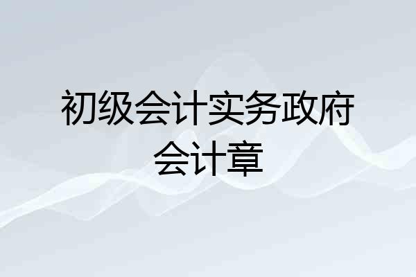 初级会计实务政府会计章