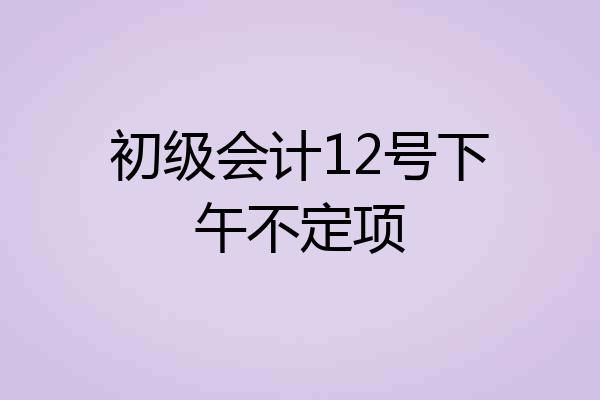 初级会计12号下午不定项