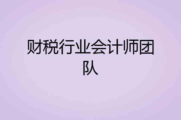 财税行业会计师团队