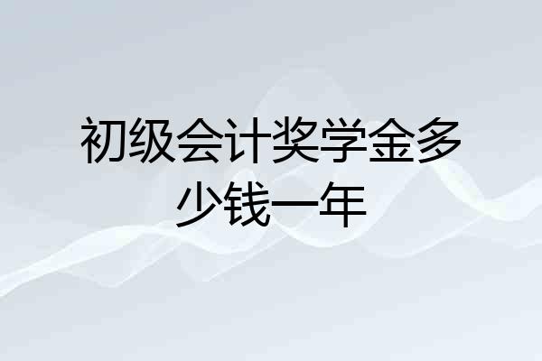初级会计奖学金多少钱一年