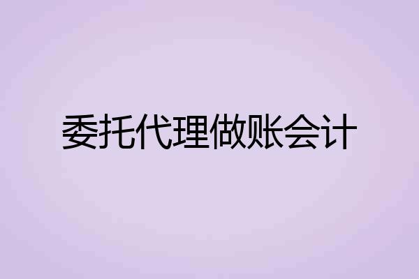 委托代理做账会计