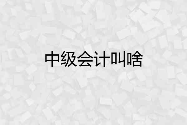 中级会计叫啥