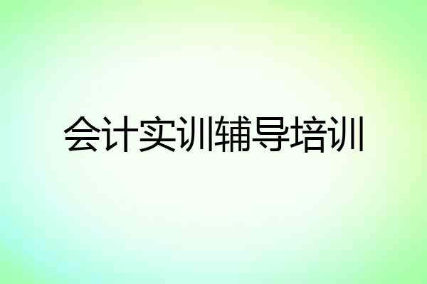 会计实训辅导培训