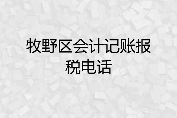牧野区会计记账报税电话