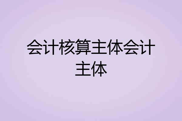 会计核算主体会计主体
