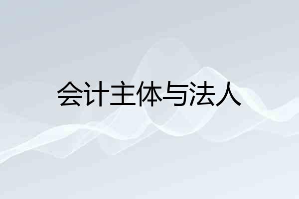 会计主体与法人