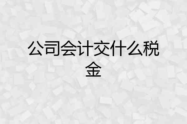 公司会计交什么税金