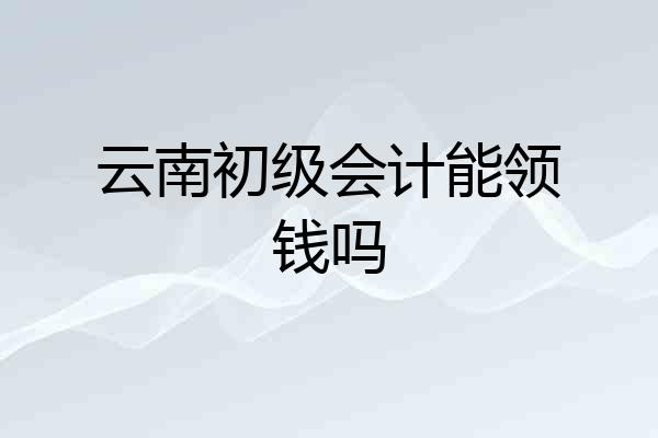 云南初级会计能领钱吗