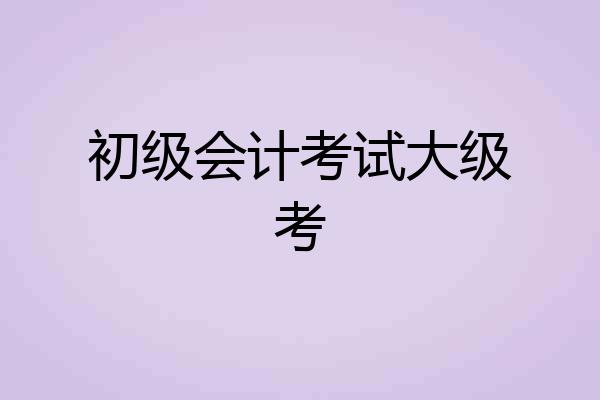 初级会计考试大级考
