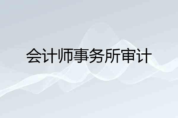 会计师事务所审计