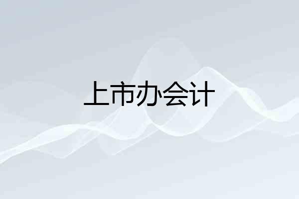 上市办会计