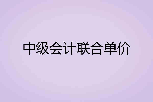 中级会计联合单价