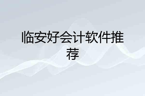 临安好会计软件推荐