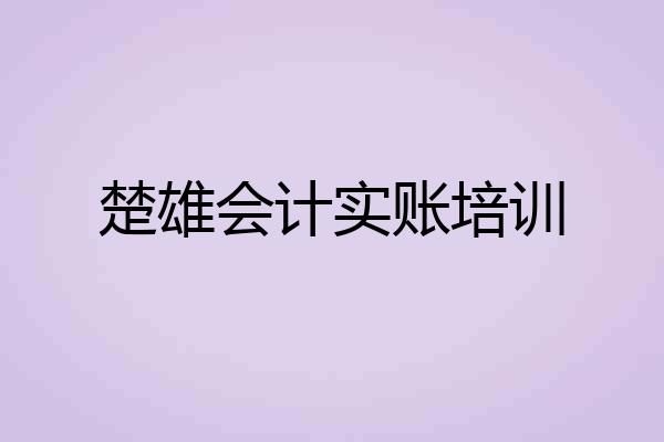 楚雄会计实账培训