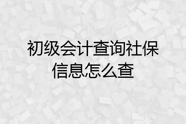 初级会计查询社保信息怎么查