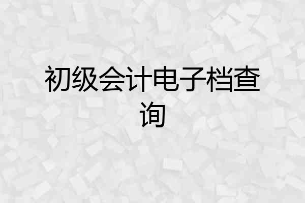 初级会计电子档查询