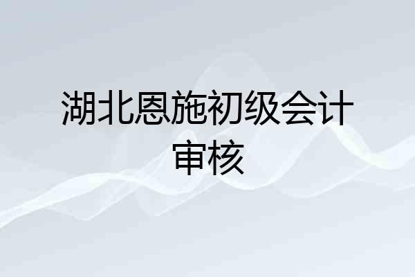 湖北恩施初级会计审核