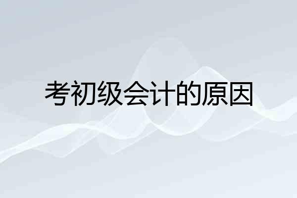 考初级会计的原因