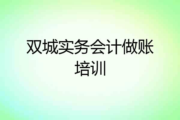 双城实务会计做账培训