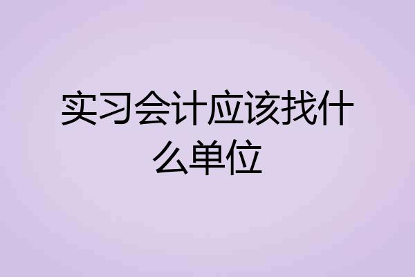 实习会计应该找什么单位