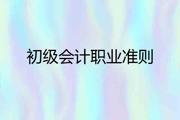 初级会计职业准则