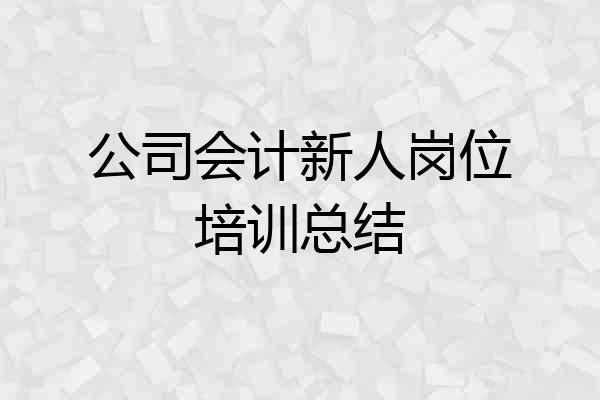 公司会计新人岗位培训总结