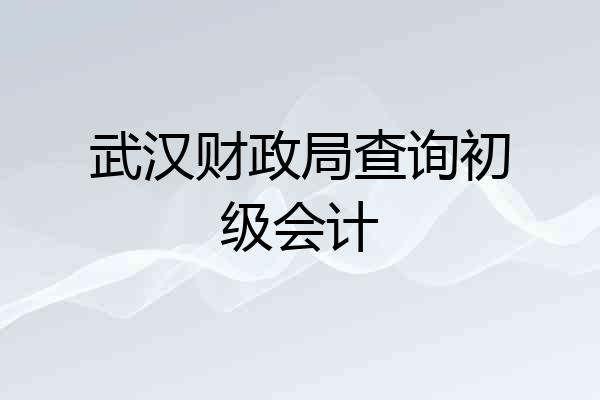 武汉财政局查询初级会计