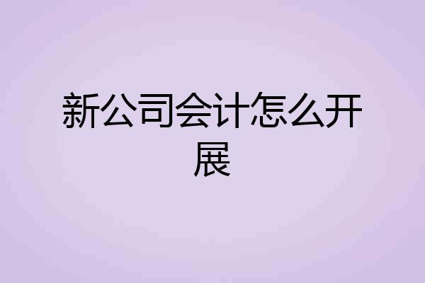 新公司会计怎么开展