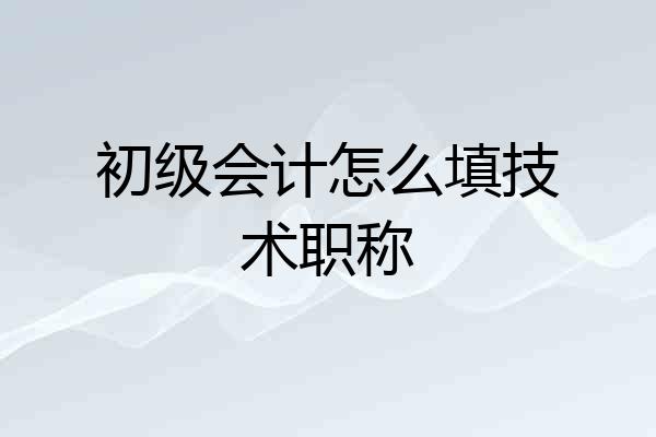 初级会计怎么填技术职称