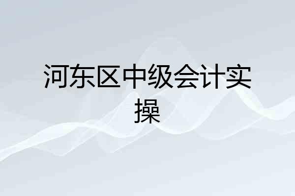 河东区中级会计实操