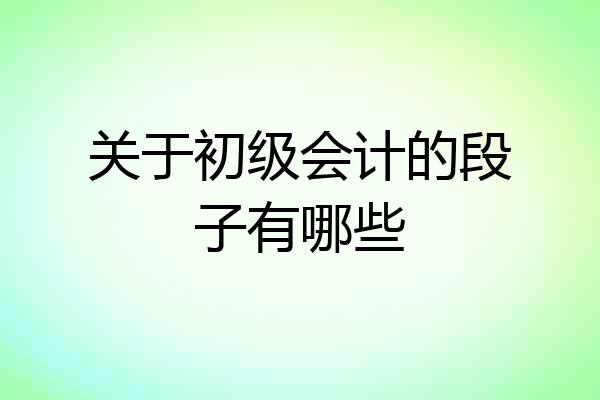 关于初级会计的段子有哪些