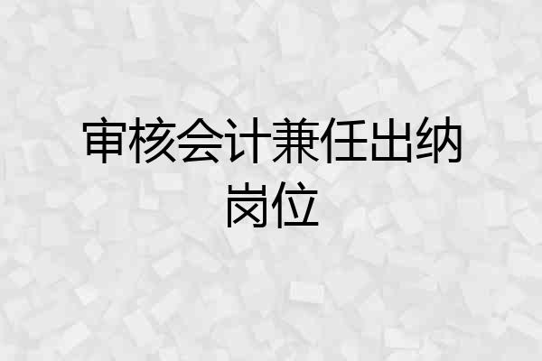 审核会计兼任出纳岗位