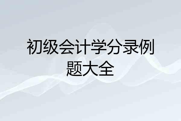初级会计学分录例题大全