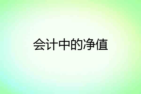 会计中的净值