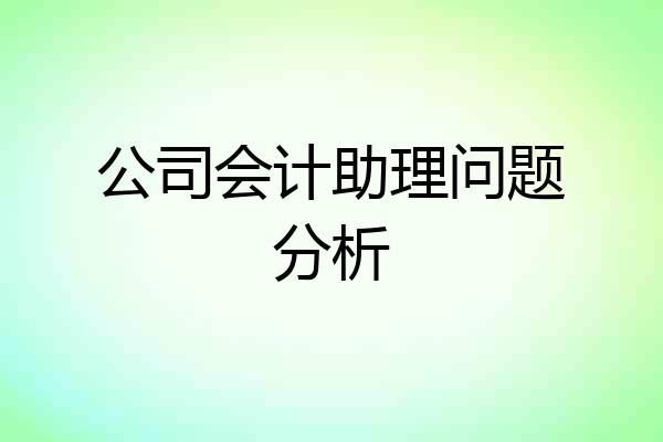 公司会计助理问题分析