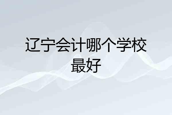辽宁会计哪个学校最好