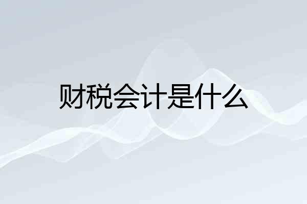 财税会计是什么