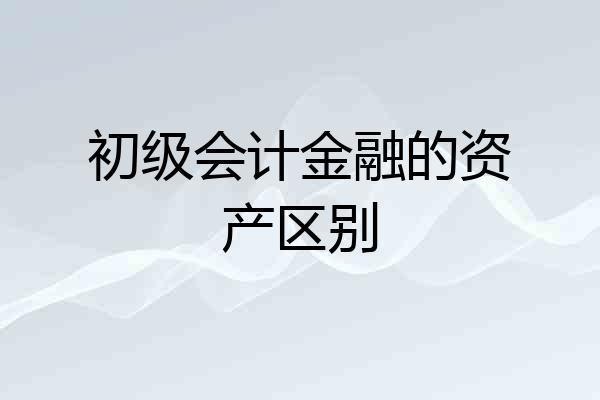初级会计金融的资产区别
